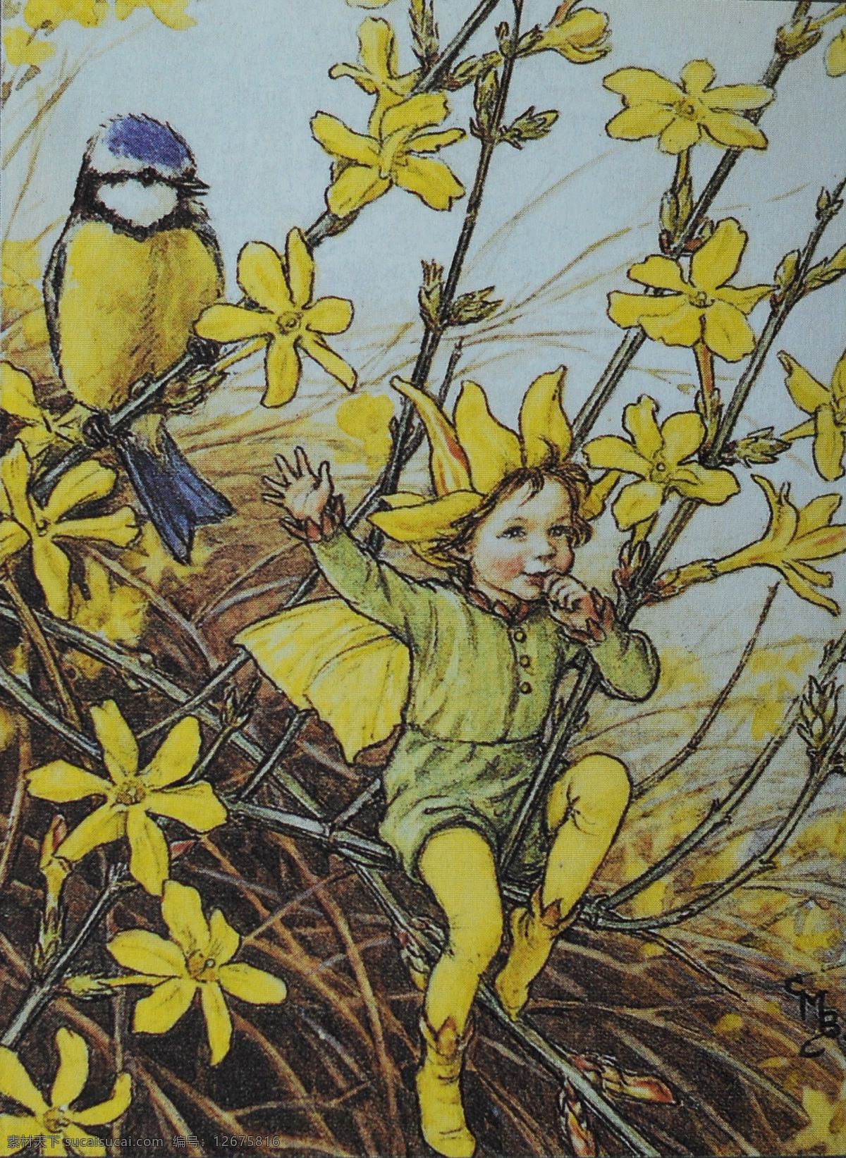 花仙子 蝴蝶 蜻蜓 鸟 翅膀 cicely mary barker 英国女画家 陶瓷 玩偶 童话 天使 手绘 绘画 水彩画 文化艺术 绘画书法