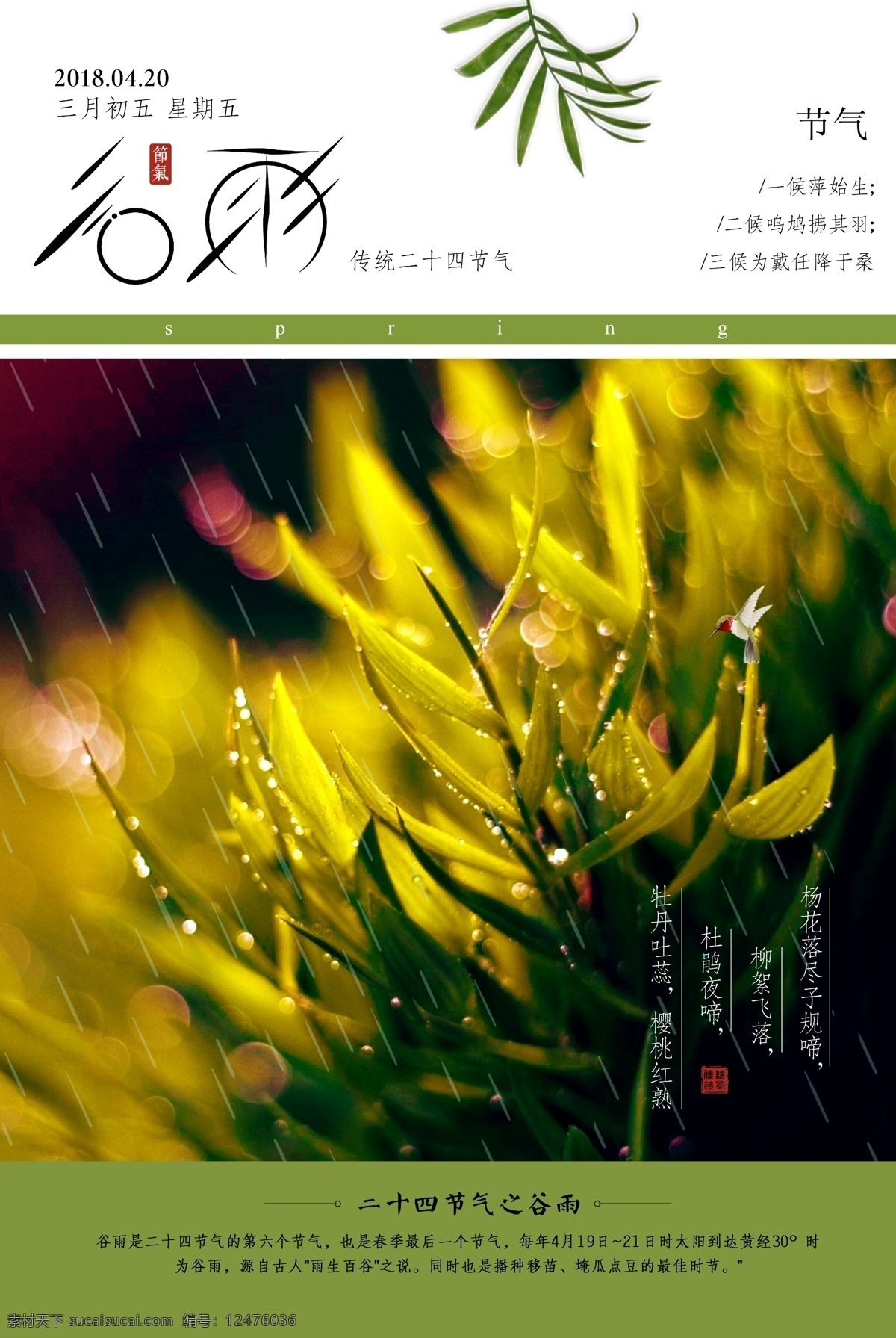 谷雨 海报 清新 背景 场景 手绘 绿色 细雨 二十四节气 扁平