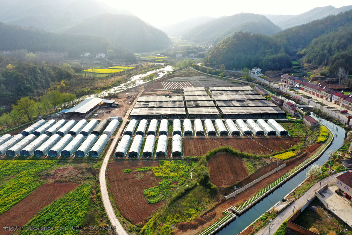 航拍香菇大棚 香菇 大棚 基地 漳河 扶贫