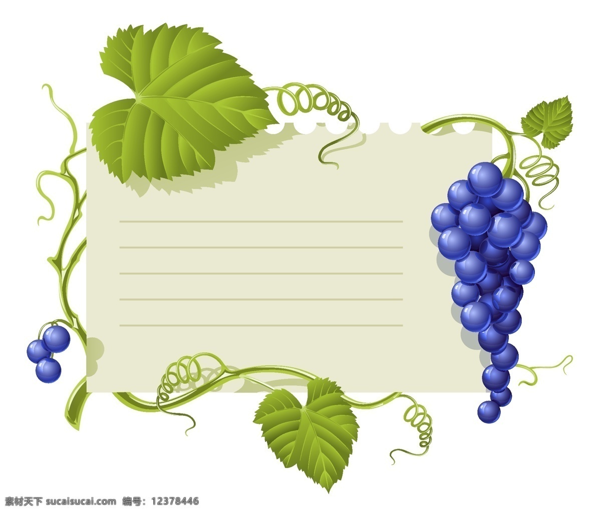 紫 葡萄 背景 标贴 葡萄藤 葡萄叶 水果 矢量图 其他矢量图