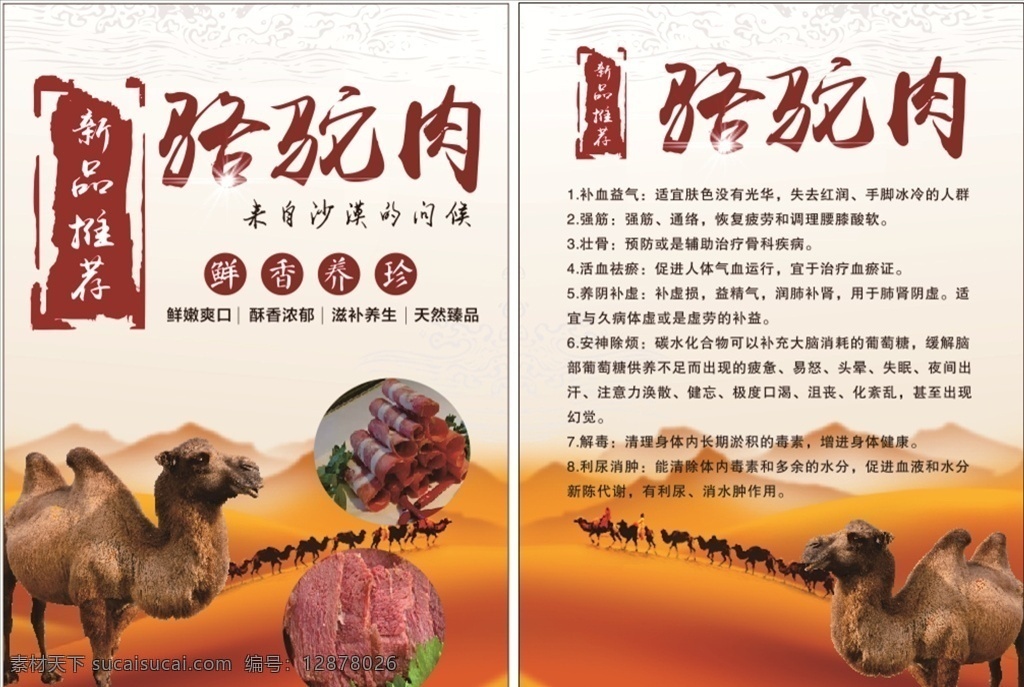 骆驼肉 骆驼 肉 沙漠 新品推荐 单页 传单 dm 单 系列 dm宣传单