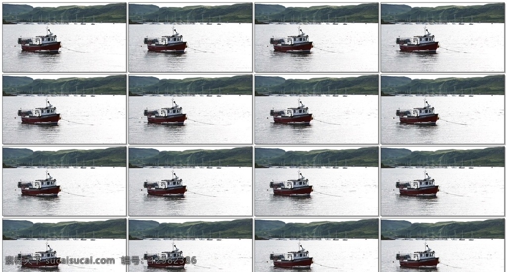 停泊的渔船 码头 船舶 渔港 河流 江水 大海 多媒体 实拍视频 自然风光 mov