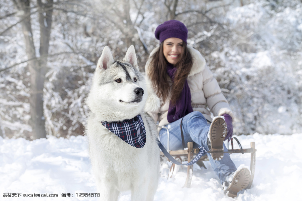 坐在 雪橇 上 时尚 美女图片 生活人物 外国美女 时尚美女 宠物狗 雪地 人物图片