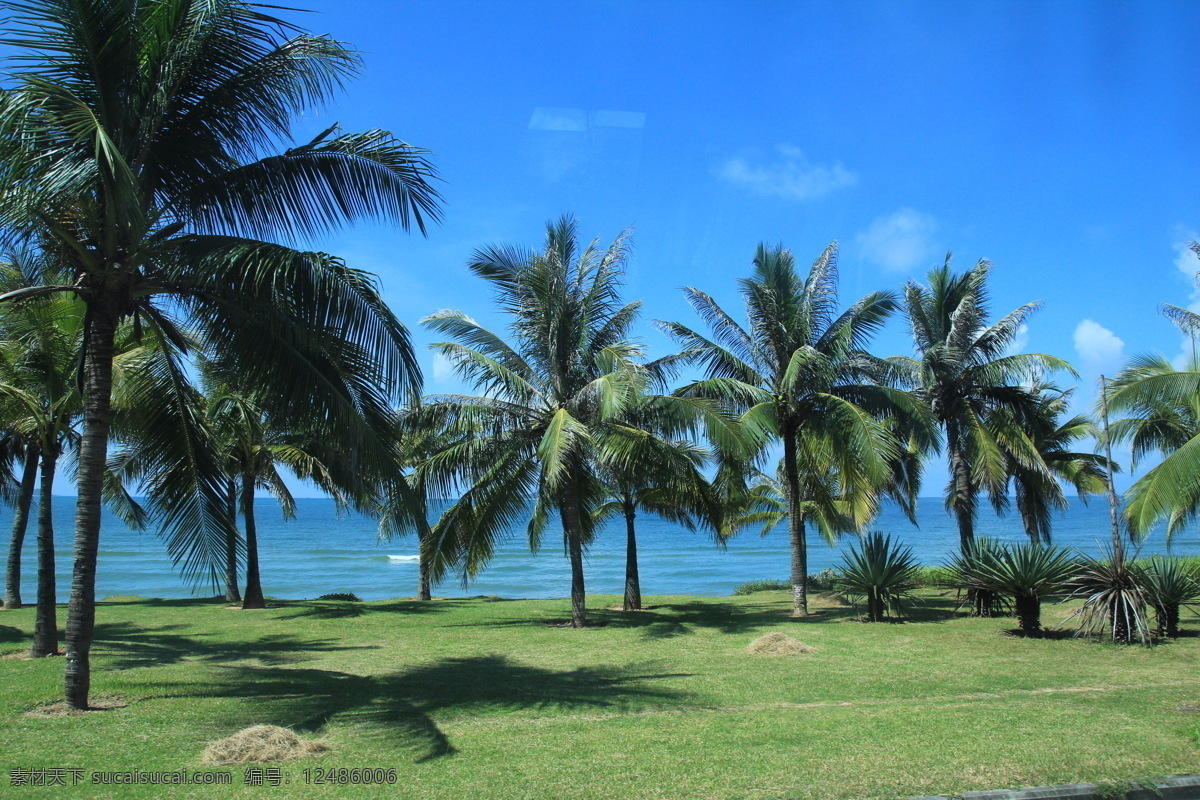 椰林大海 大海 蓝天 三亚 白云 好天气 风景 椰林 度假 旅游摄影 自然风景