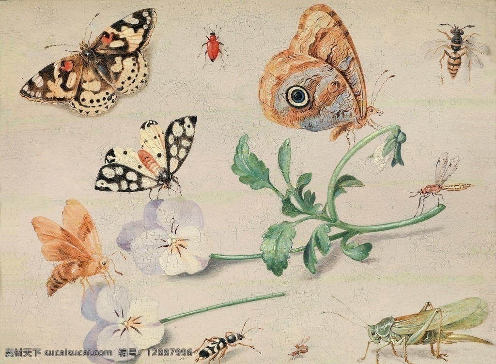 凯塞作品 凡183 让183 意大利画家 蝴蝶 白色木槿花 蚂蚱 蜻蜓 蜜蜂 蚂蚁 19世纪油画 油画 文化艺术 绘画书法