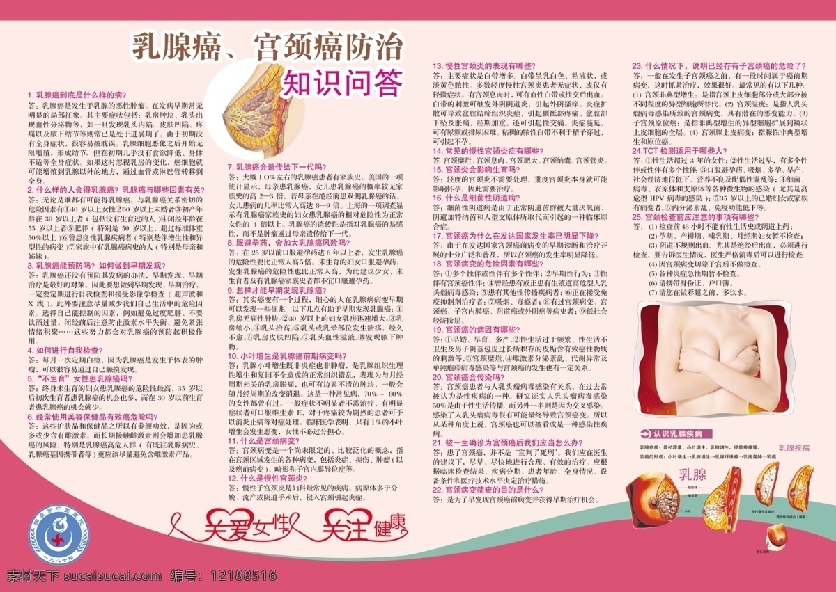 关爱女性 乳腺癌 宫颈癌 知识问答 关注健康 展板模板 广告设计模板 源文件