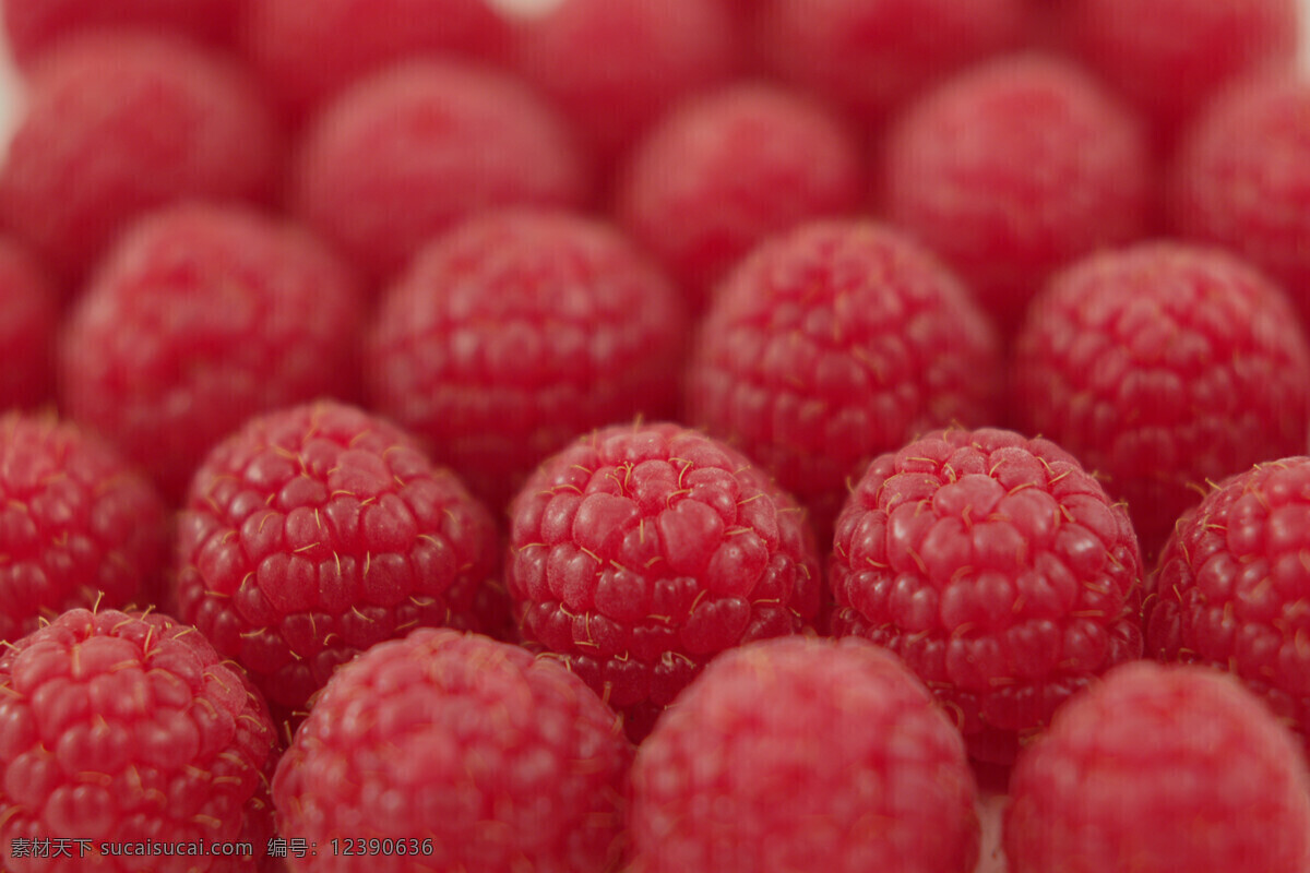 红色 覆盆子 红色果子 红果子 果子 果实