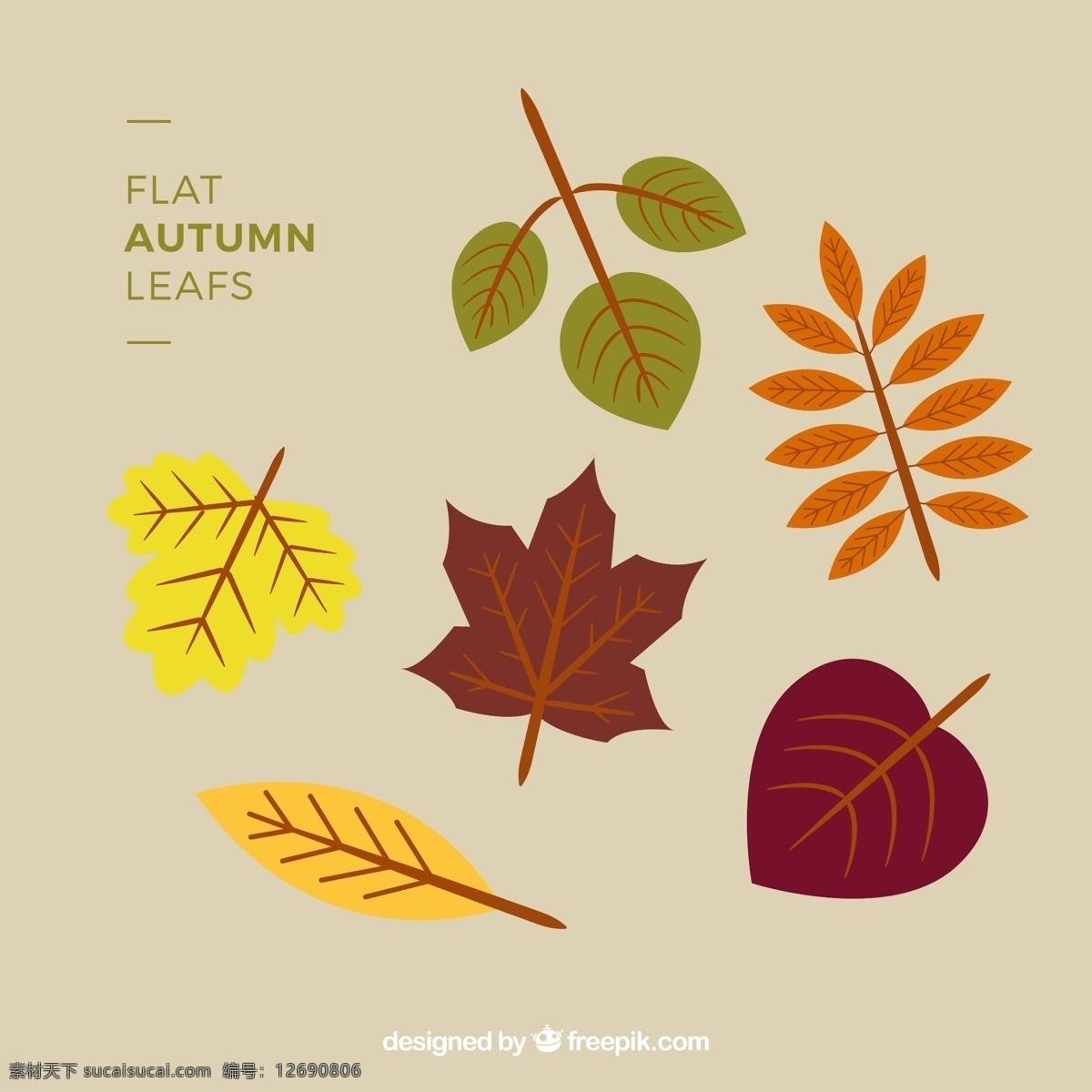 美丽 秋天 树叶 秋天的树叶 树叶素材 卡通树叶 黄色