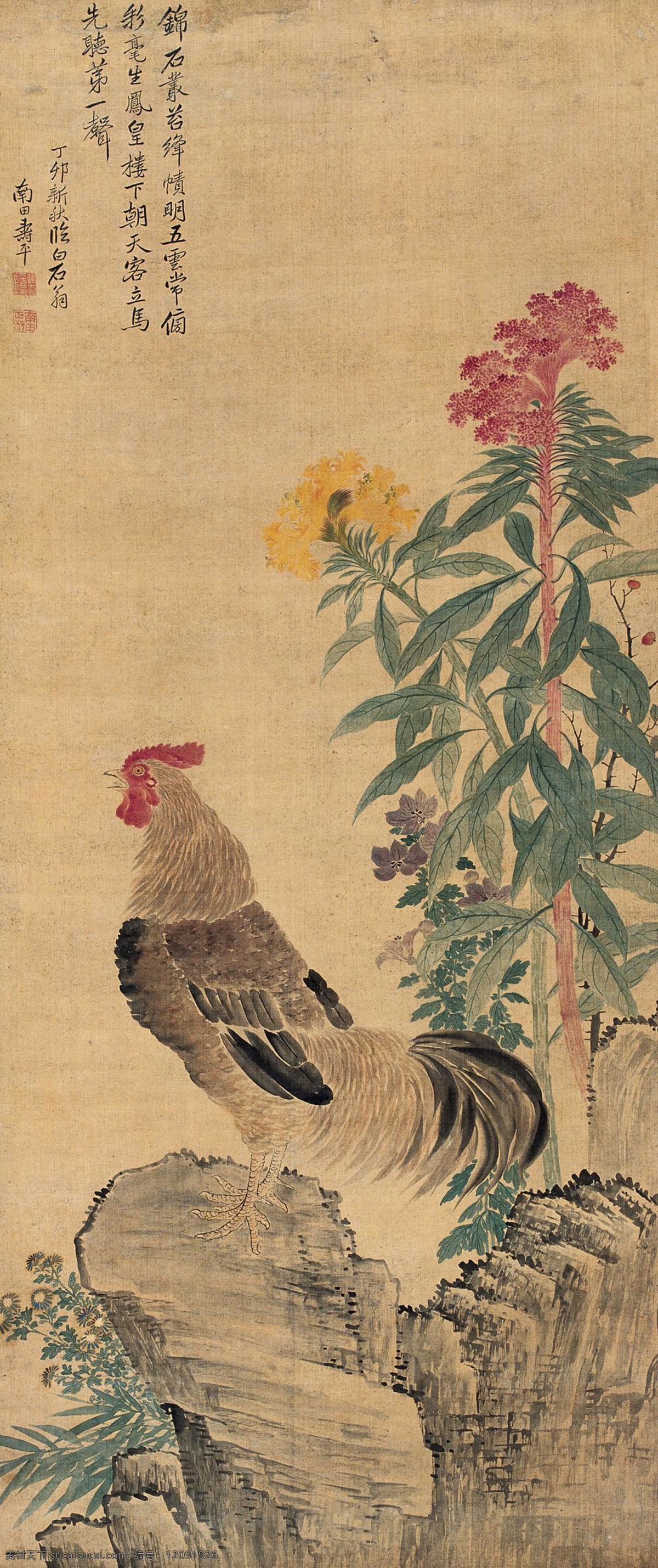 冠上加冠 鸡 鸡冠花 石 花 草 国画 恽寿平 工笔 古典 古代 绘画书法 高清 大图 艺术 传统文化 文化艺术