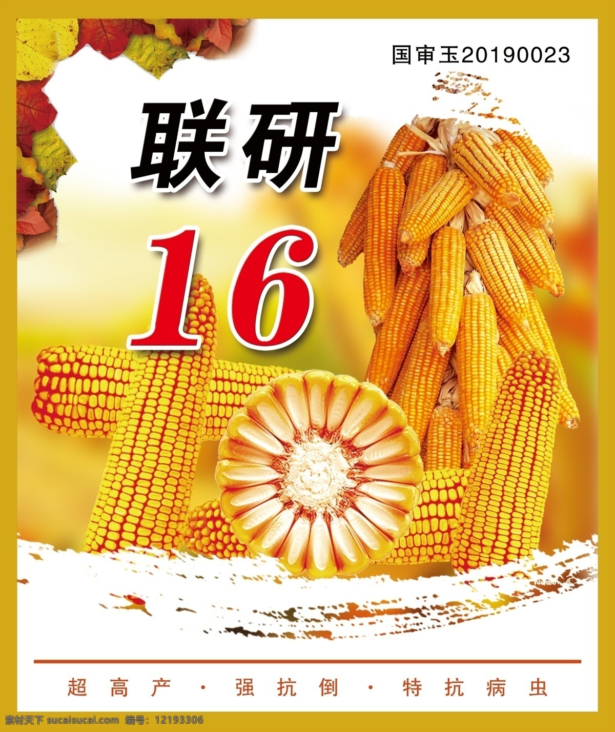 玉米种子宣传 玉米 种子 联研 黄色 宣传 海报