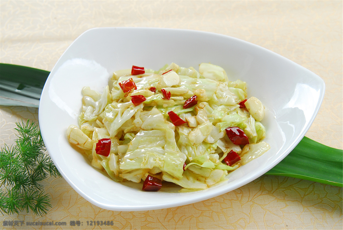 手撕包菜 美食 传统美食 餐饮美食 高清菜谱用图