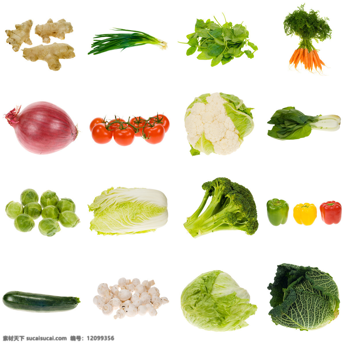 新鲜蔬菜 白菜 辣椒 西红柿 蕃茄 胡萝卜 南瓜 花菜 西兰花 青菜 洋葱 水果蔬菜 餐饮美食 白色