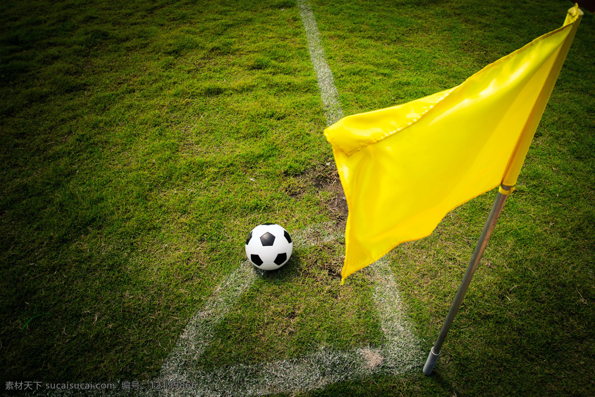 草地 上 旗帜 足球 画线 球场 体育运动 生活百科