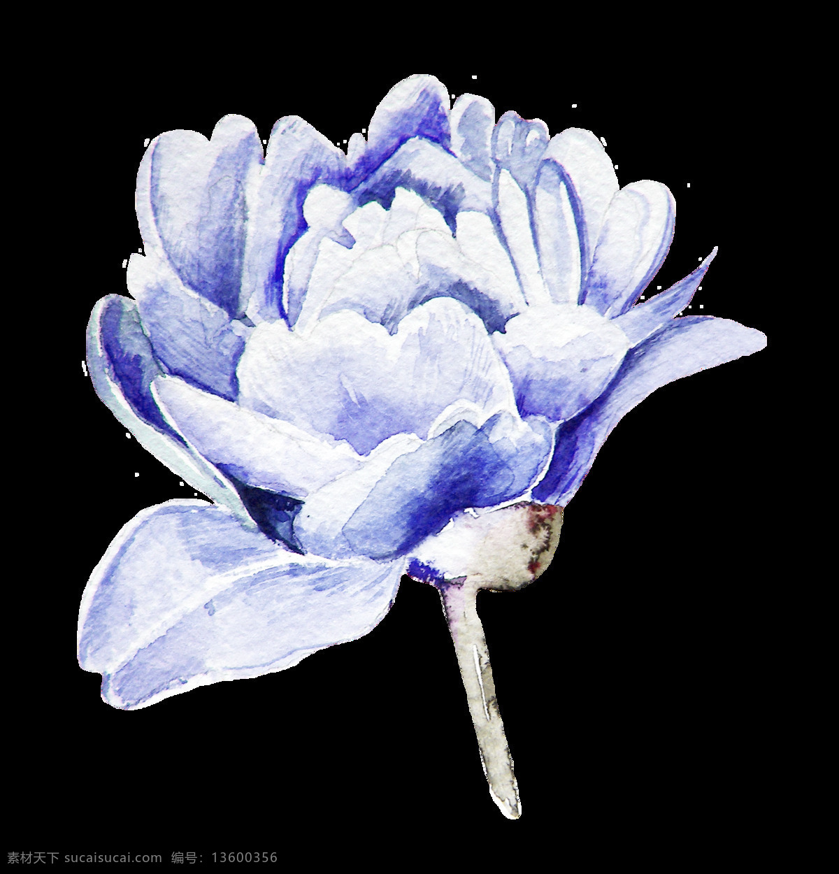 免 扣 白色 插画 花瓣 花苞 花朵 花卉 花蕊 卡通 蓝色 手账素材 淘宝 手绘 鲜花 合集 紫色 植物 透明素材 装饰图案