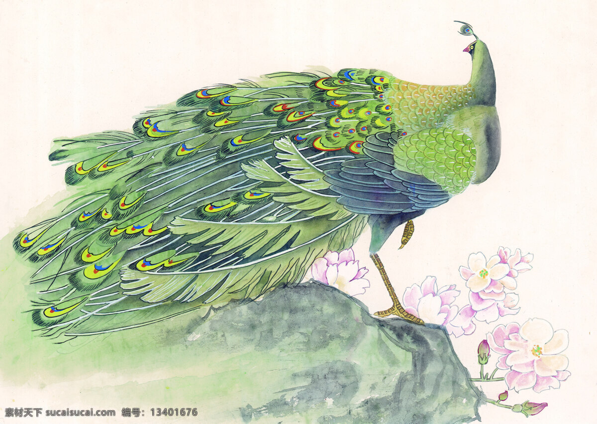动物 孔雀 百花 工笔 国画 花卉 花鸟 花蕊 绘画 泼墨 花卉牡丹 中国画 水墨 晕染 鲜花 写意 装饰素材 室内装饰用图