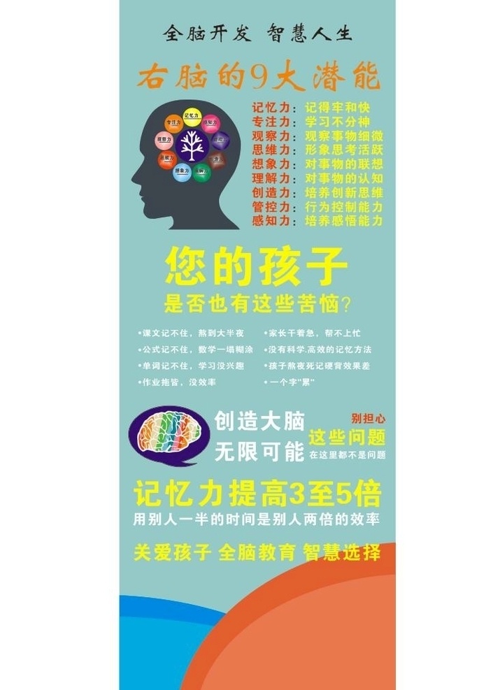 右脑 九大 潜能 大脑 大脑开发 九大潜能 脑 室外广告设计