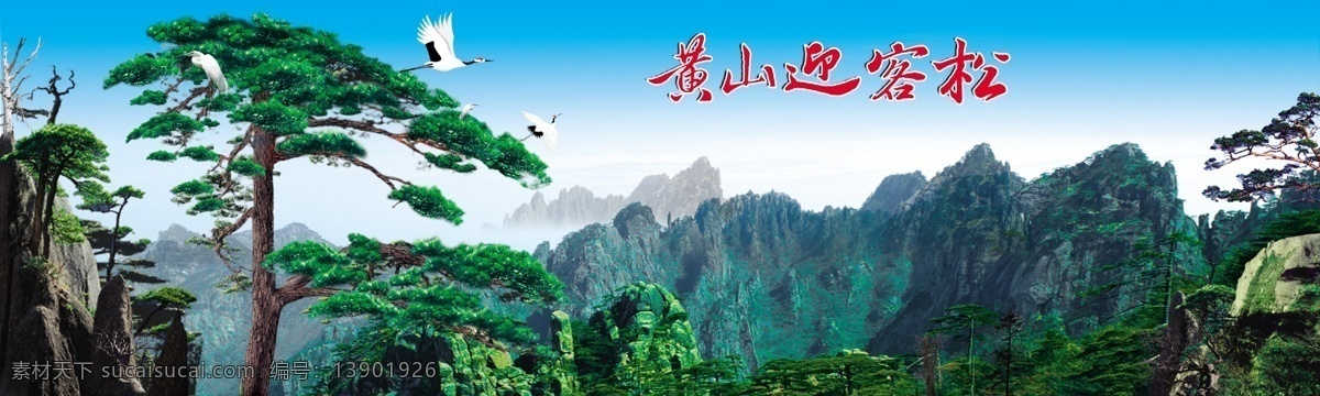 黄山 迎客松 分层 不 精细 黄山迎客松 风景 山川 山水画 松树 森林 鹤 单顶鹤 风光 仙鹤 松鹤 雾 其他设计 环境设计 源文件