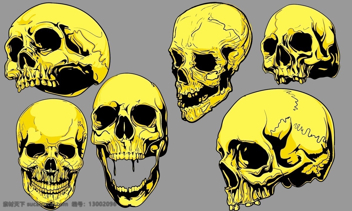 黄色的头骨 黄色 头骨 骨头 骷髅