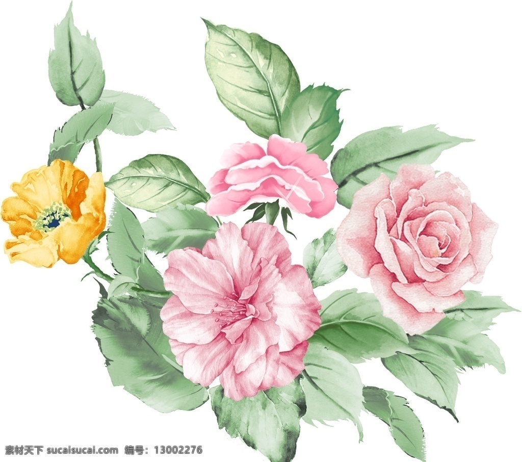 玫瑰花 牡丹花 玫瑰叶 叶子