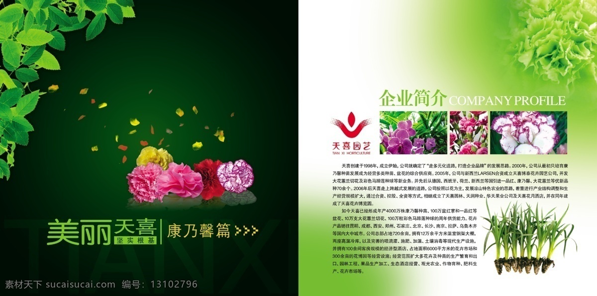 画册 简介 分层 花朵 画册简介 绿叶 源文件库 其他画册封面