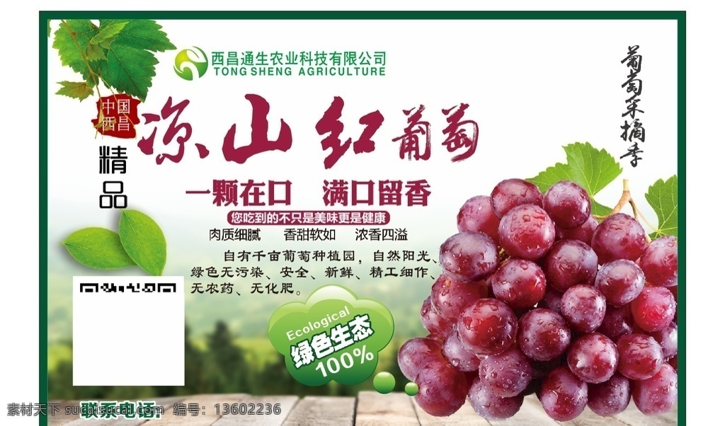 凉山红 标签 红提 葡萄宣传
