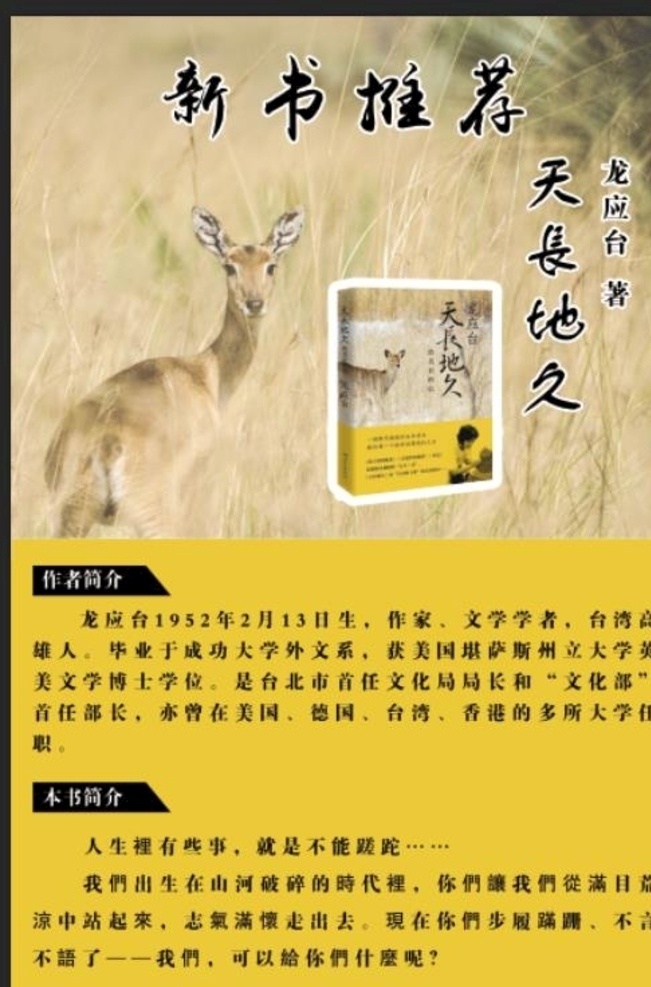 新书推荐 天长地久 推荐 书店海报 小说课 海报
