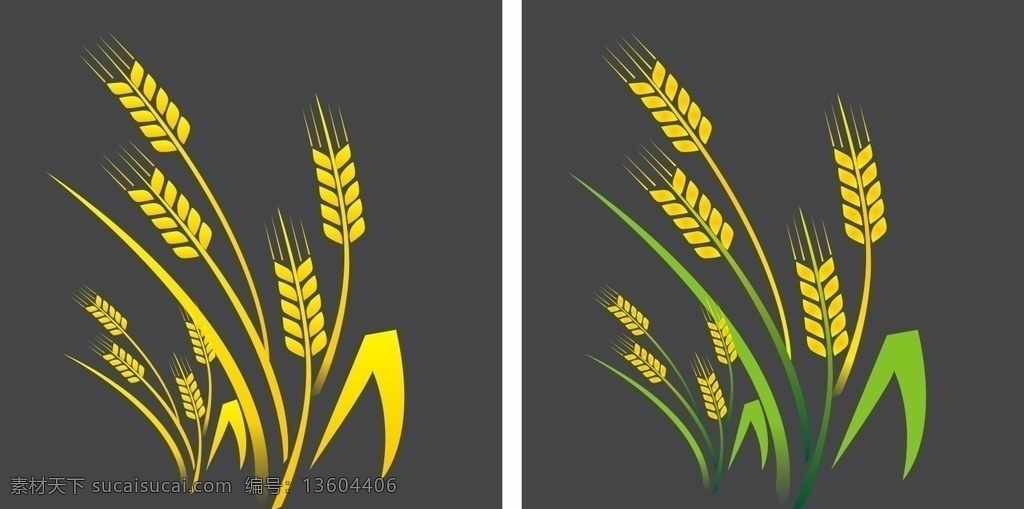 小麦麦子 小麦 麦子 麦穗 庄稼 植物 矢量小麦 小麦素材 麦子素材 矢量麦子 矢量麦穗 麦穗素材 庄稼素材 矢量庄稼 植物素材