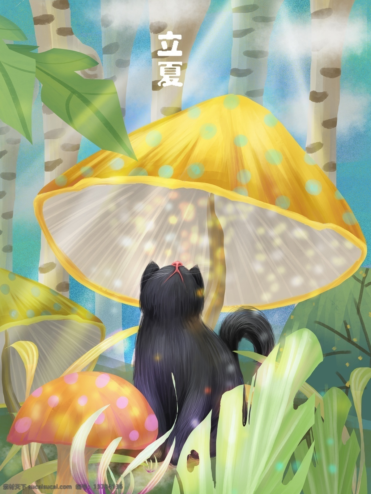 立夏 小 黑猫 躲 蘑菇 下面 避 阳光 太阳 树木 小草 树叶