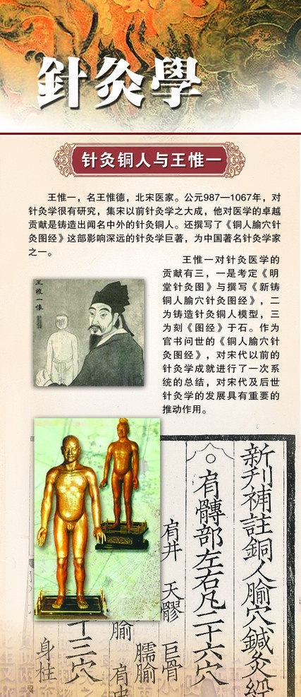 中医文化展板 针灸学 推拿学 中医 文化 展板 模板 老中医 分层 中医文化 源文件