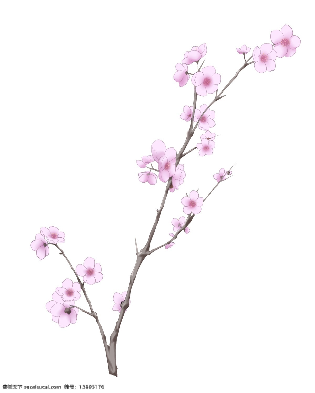 粉白色 花朵 插画 粉色的花朵 漂亮的花朵 美丽的花朵 绽放的花朵 卡通插画 花朵插画 鲜花插画