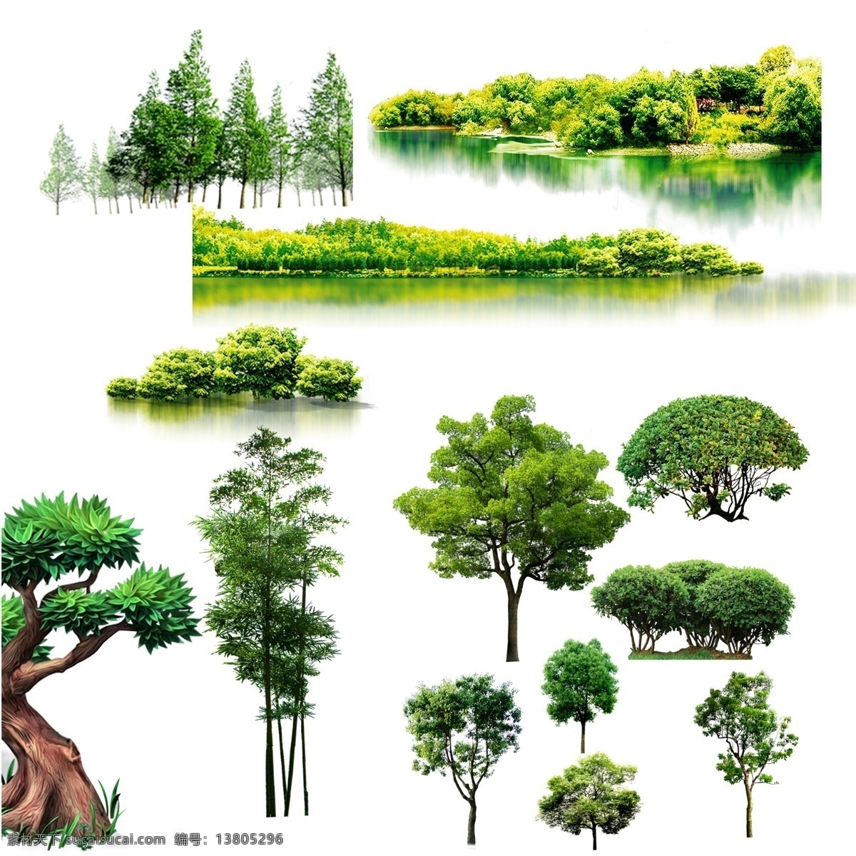 森林 树木设计 秋天枫叶 秋天植物 园林树木 高清灌木素材 秋天 树枝 叶子 大树 发芽 草原 卡通树木 各种树素材 春天 绿色素材 春天绿色 绿色设计 树木素材 树木植物 花卉植物 园林植物 植物树木 园林花卉 花卉 树叶 植物 植物花卉 园林 免抠 花卉素材 植物素材 花草类 分层