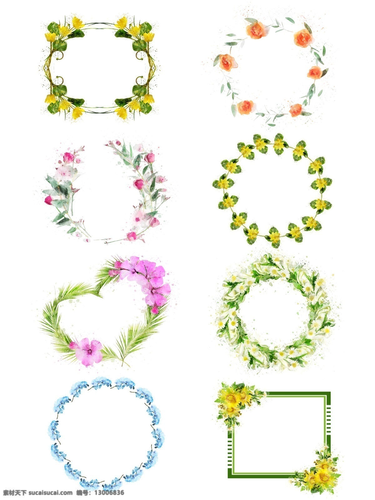 手绘 鲜花 植物 玫瑰 桃花 雏 菊 边框 元素 合集 黄色 原创 雏菊 粉色 圆形边框 植物边框 手绘边框 方形边框 水彩
