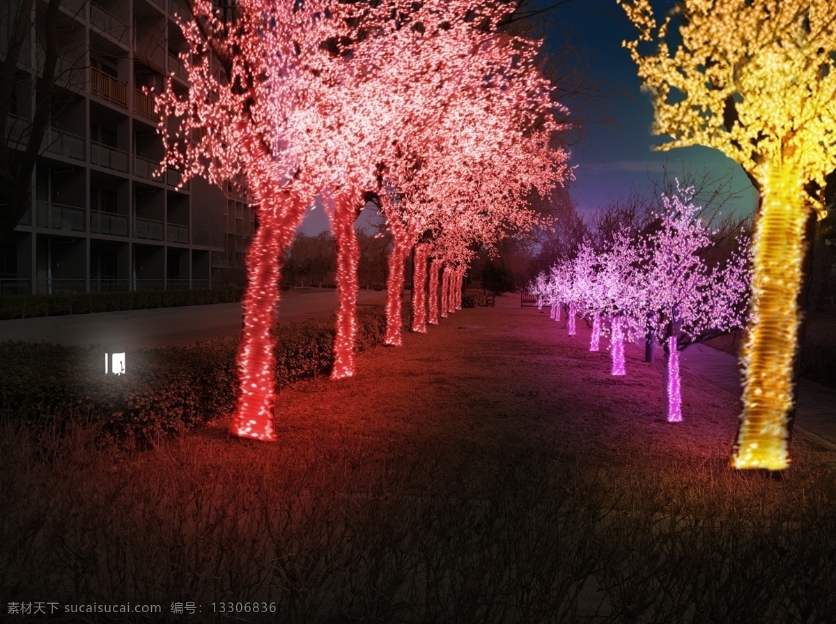 亮化素材 亮化树 夜景 亮化灯 亮化彩色灯 亮化灯素材 亮化树素材 霓虹灯 树装饰
