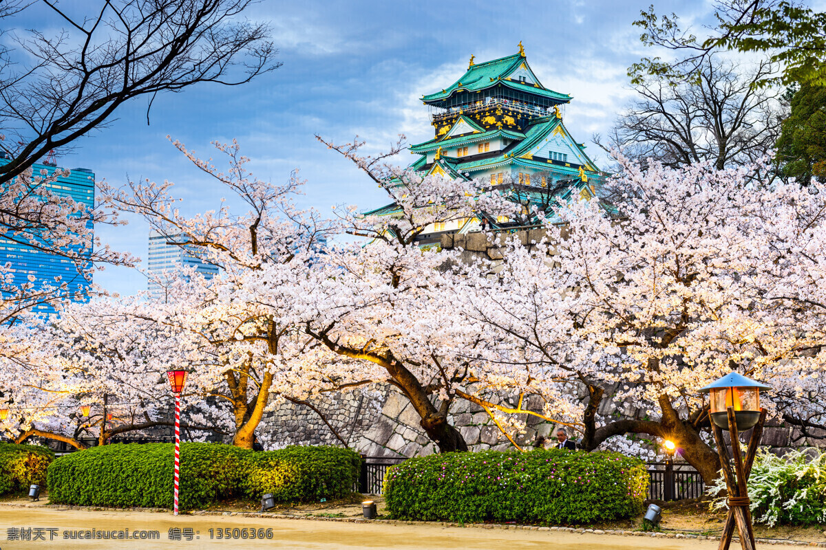 美丽 日本 旅游风光 日本风景 樱花 城堡 美丽风景 风景摄影 美丽景色 日本建筑 城市风光 环境家居