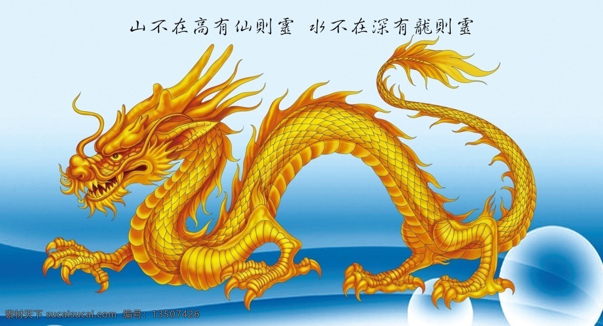龙 鱼缸背景 高清龙背景 中国龙 气泡 展板