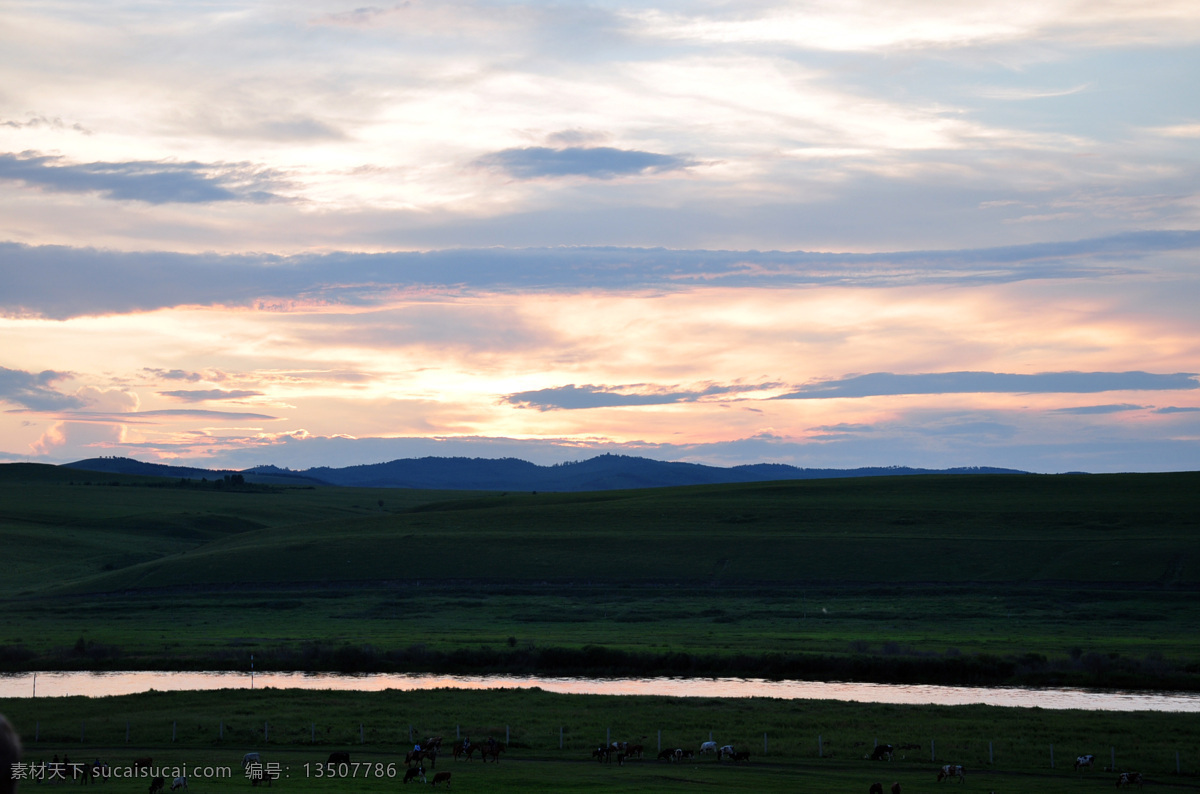 呼伦贝尔 夕阳 海拉尔 草原 蓝天 云 旅游 空气 阳光 光线 傍晚 牛群 自然景观 自然风景 黑色