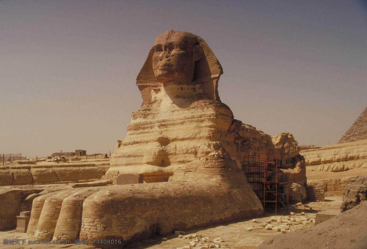骆驼 沙漠 狮身人面像 hd 高清 图像 埃及的金字塔
