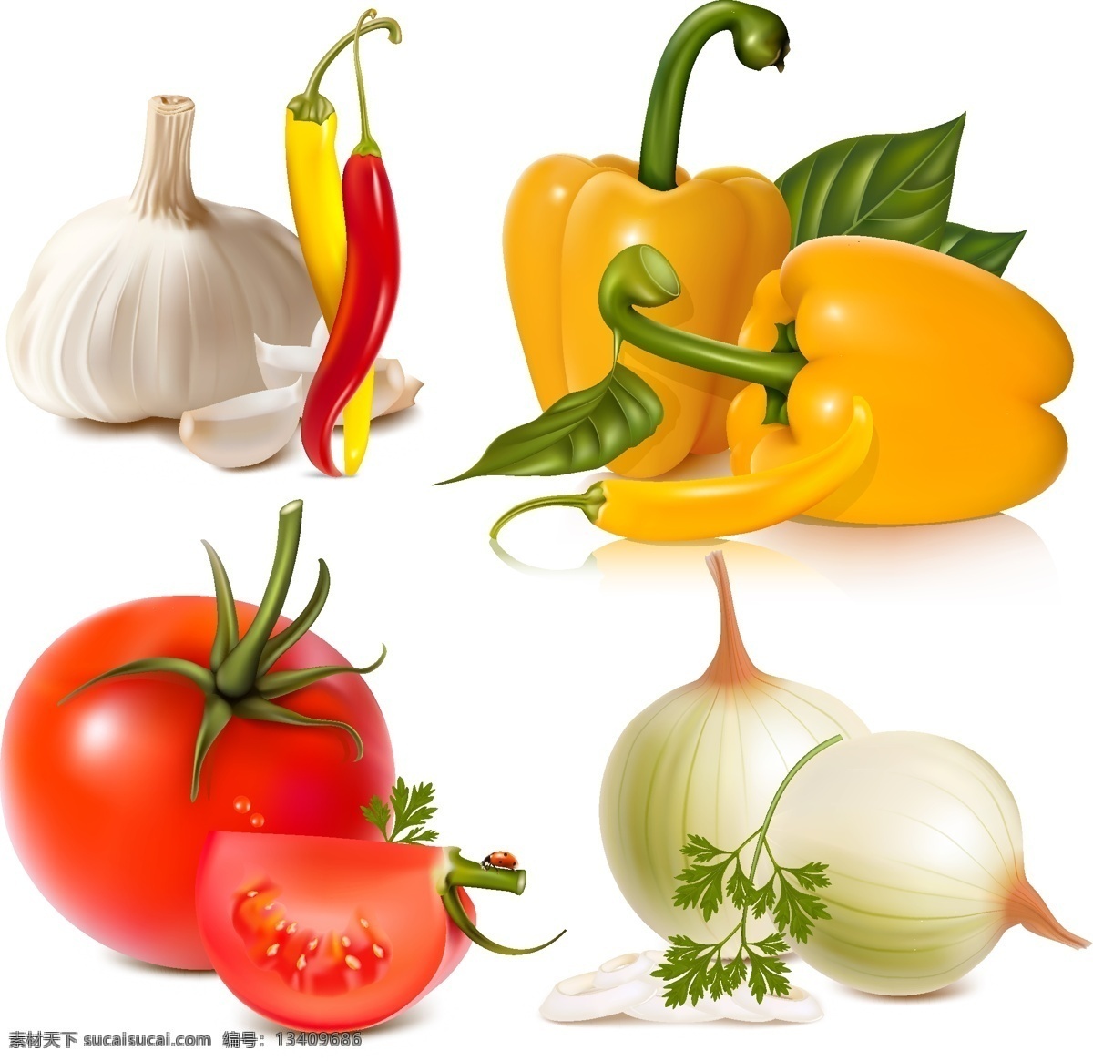 精品 蔬菜 高清 矢量图 番茄 大蒜 辣椒 葱 蔬菜矢量 黄辣椒 蔬菜下载 蔬菜水果 生物世界