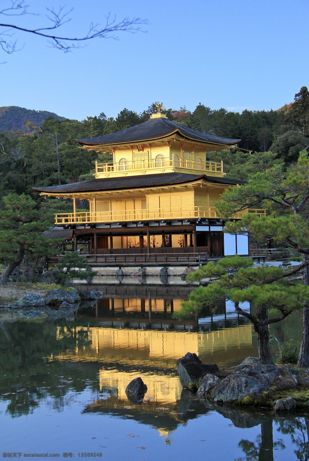 京都的金阁寺 京都 金阁寺 古寺庙 日本寺庙 日本园林 建筑园林 园林建筑