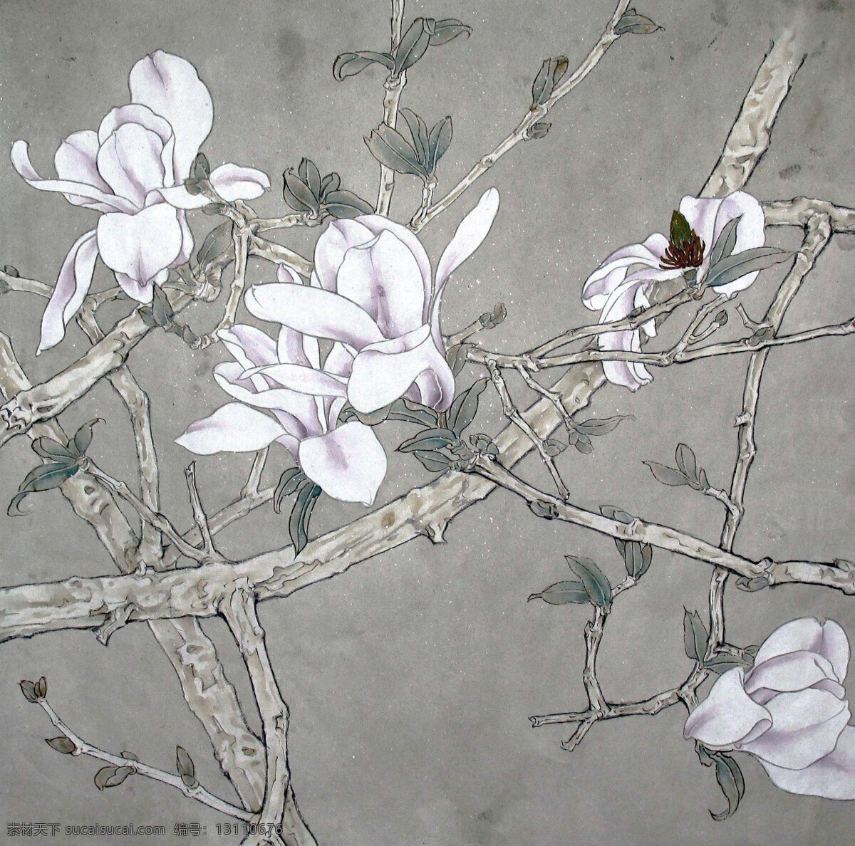 玉兰花 绘画 中国画 工笔重彩画 花鸟画 现代国画 植物 玉兰 白玉兰 花朵 花木 国画艺术 国画集18 绘画书法 文化艺术