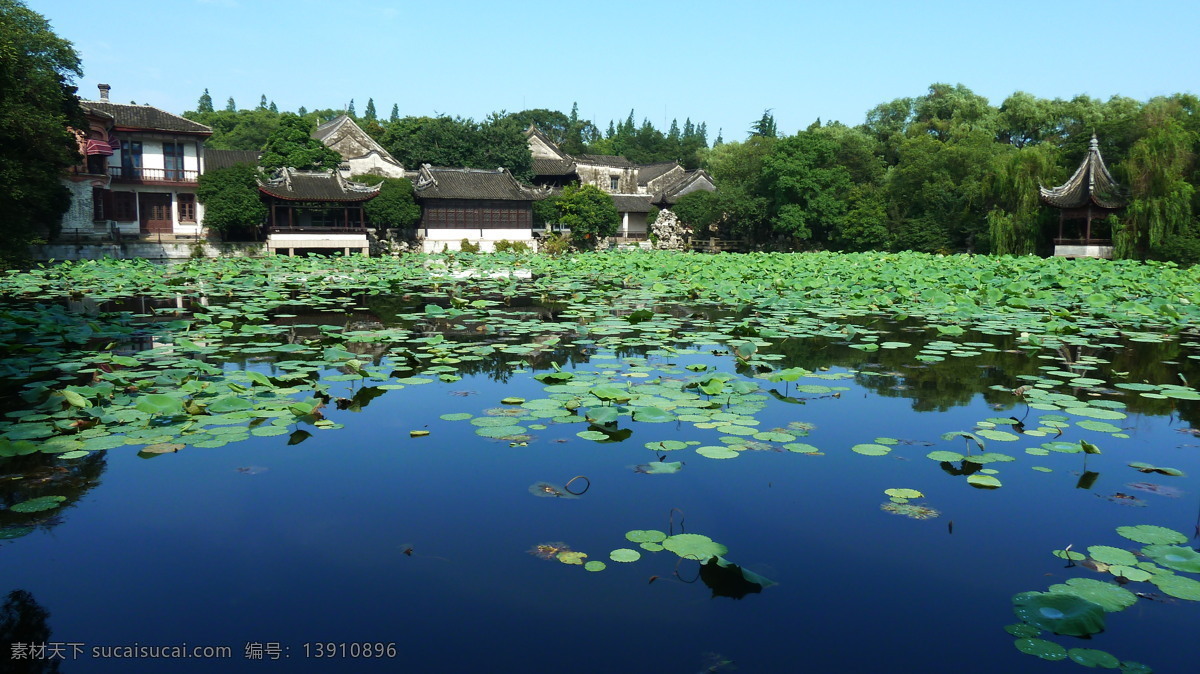 南浔 清晨的小莲庄 浙江 古镇 小莲庄 夏天 荷花 清晨 自然风光 山水风景 自然景观