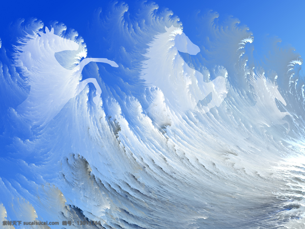 海浪 中 马 大海 陆地动物 生物世界