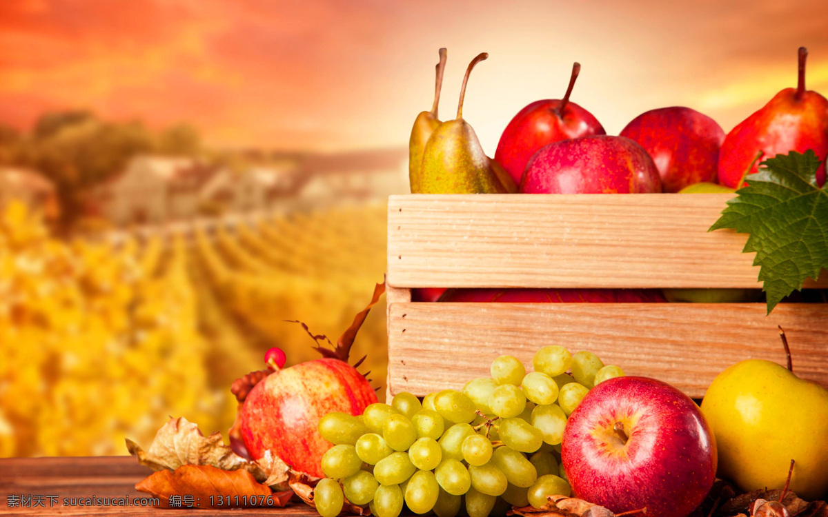 农业 农场 种植 瓜果 瓜果种植 提子 苹果 梨 木箱 生物世界 水果
