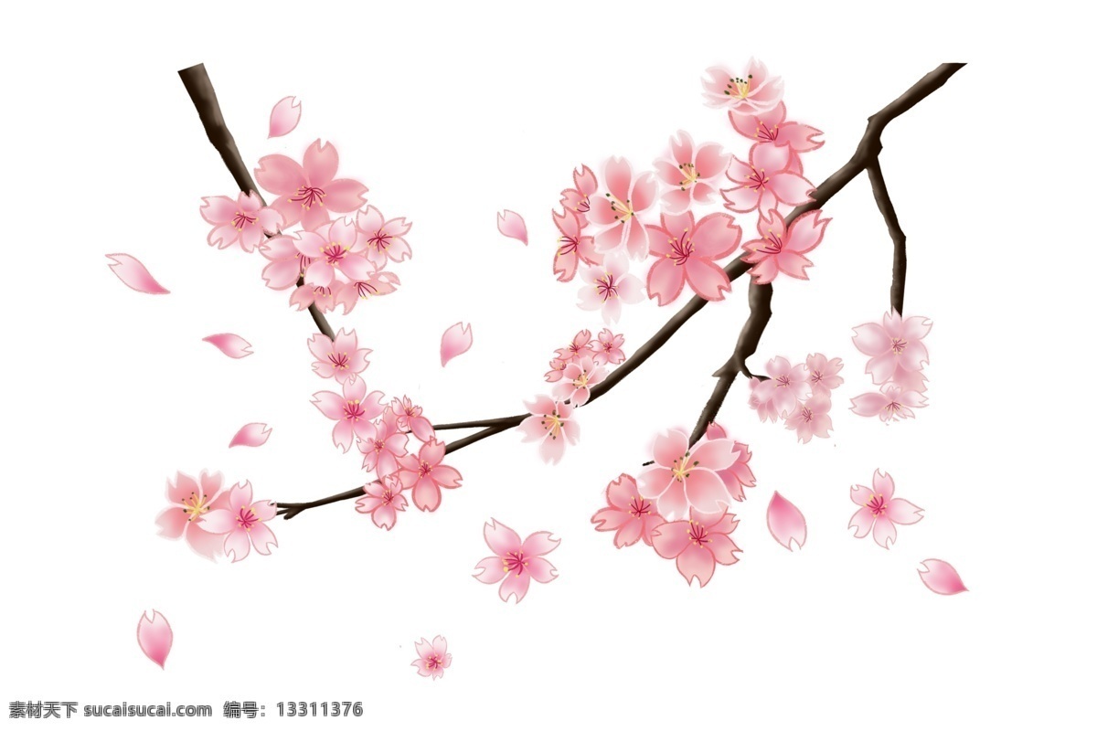 春意 春天 樱花 花树 插画 花瓣 春季 树木树叶 樱花花树 花枝花束 粉色樱花盛开