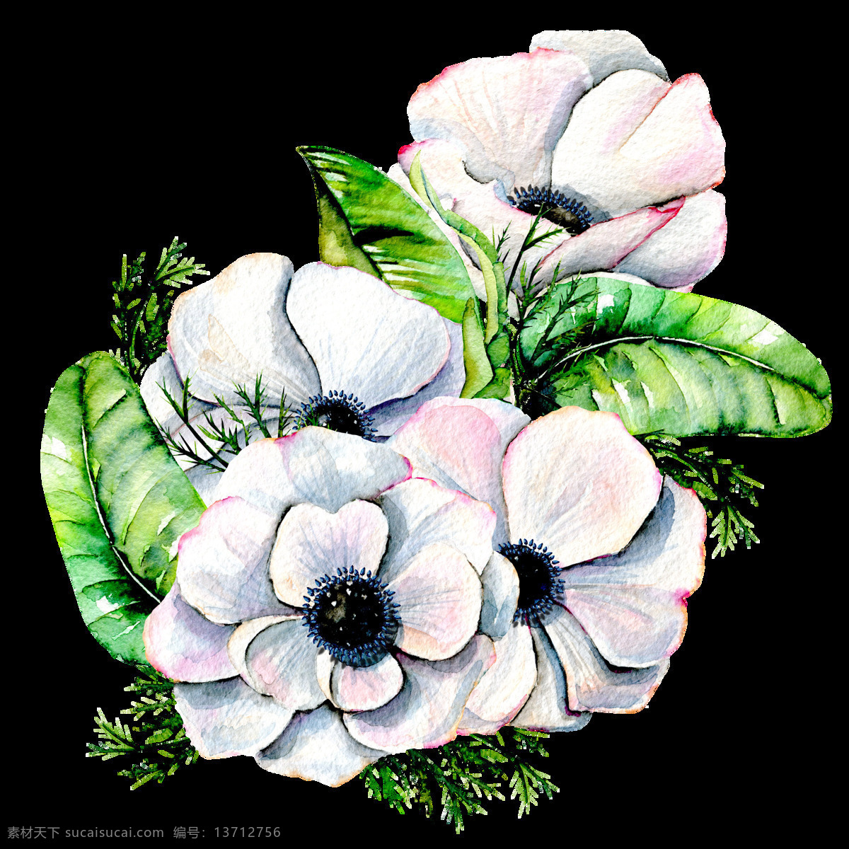 手绘 淡雅 白色 花卉 透明 黑色 绿色 免扣素材 清雅 水彩 透明素材 唯美 叶子 装饰图案