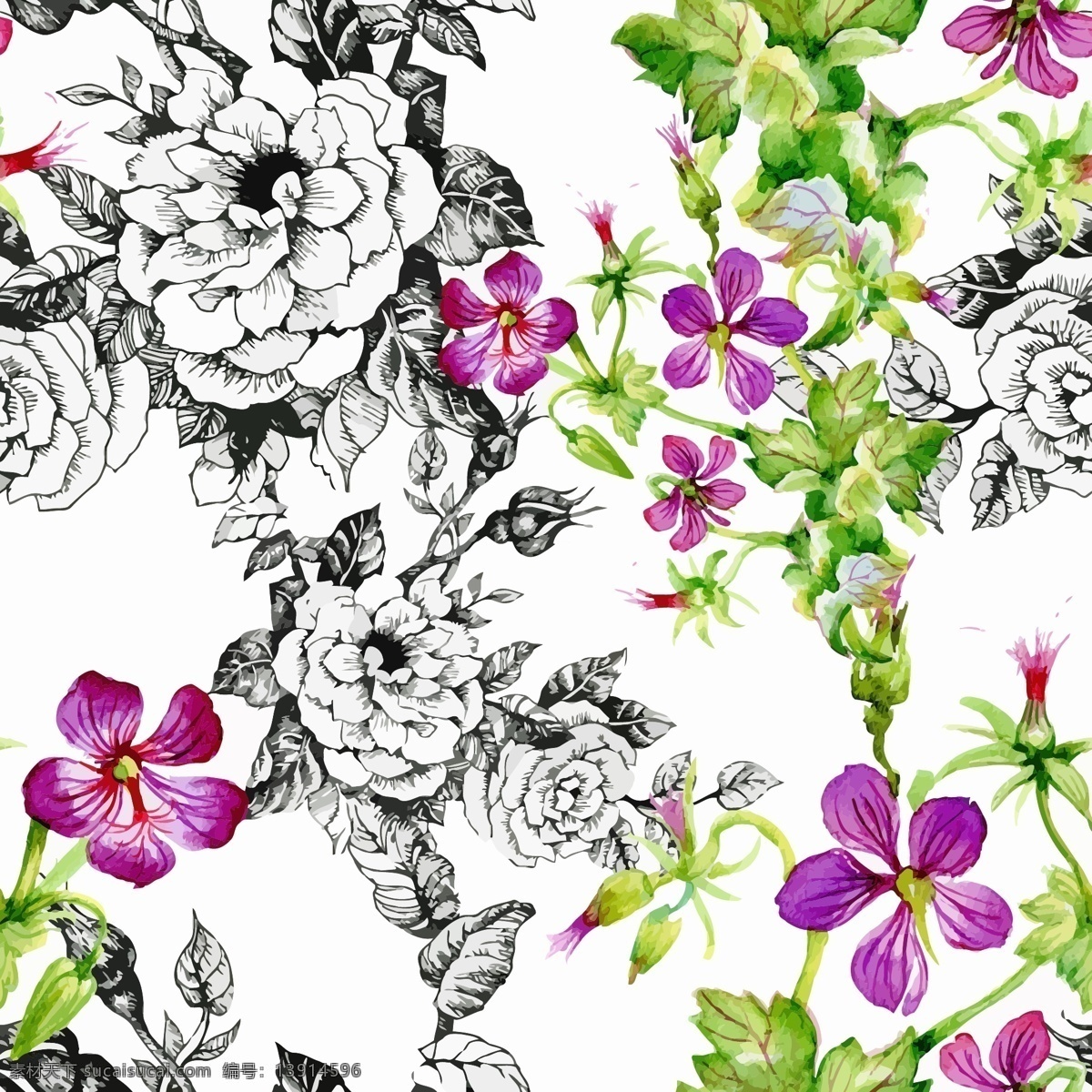 时尚 唯美 手绘 植物 插画 花朵 花卉 艺术