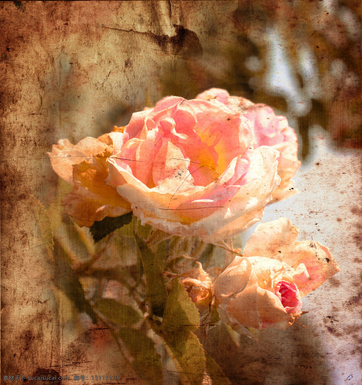 粉红 玫瑰花 背景 粉红玫瑰花 怀旧鲜花背景 花卉 花朵 美丽鲜花 怀旧背景 底纹背景 节日庆典 生活百科