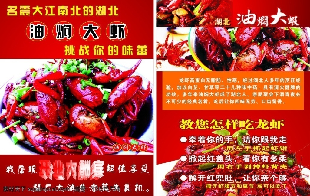 油闷大虾 湖北油闷大虾 宣传单 大虾 油炸 虾 矢量