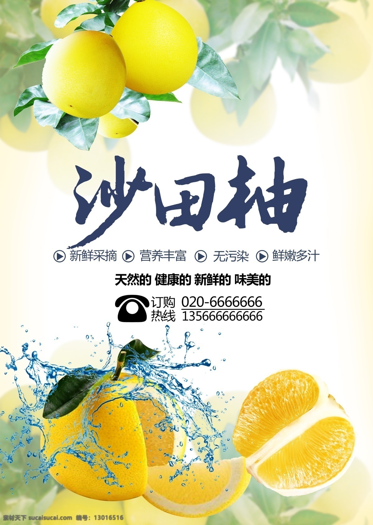 沙田 柚子 商业 水果海报 创意海报 水果