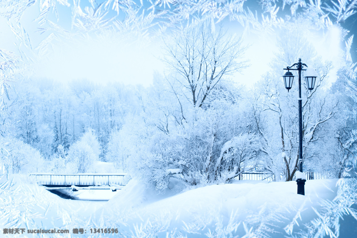 冬天唯美风景 树木风景 路灯 树林雪景 雪地风景 美丽雪景 冬天雪景 冬季美景 风景摄影 自然风景 自然景观 白色